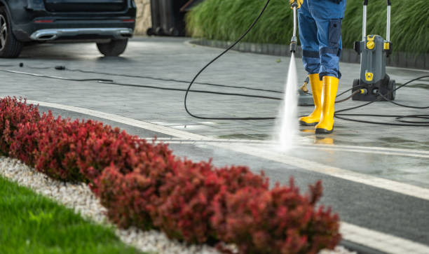 Best Gutter Cleaning  in Crosby, ND